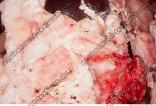 Photo Textures of RAW Pork Meat